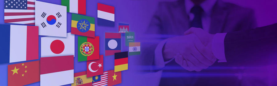 三亚小语种网站建设  第2张